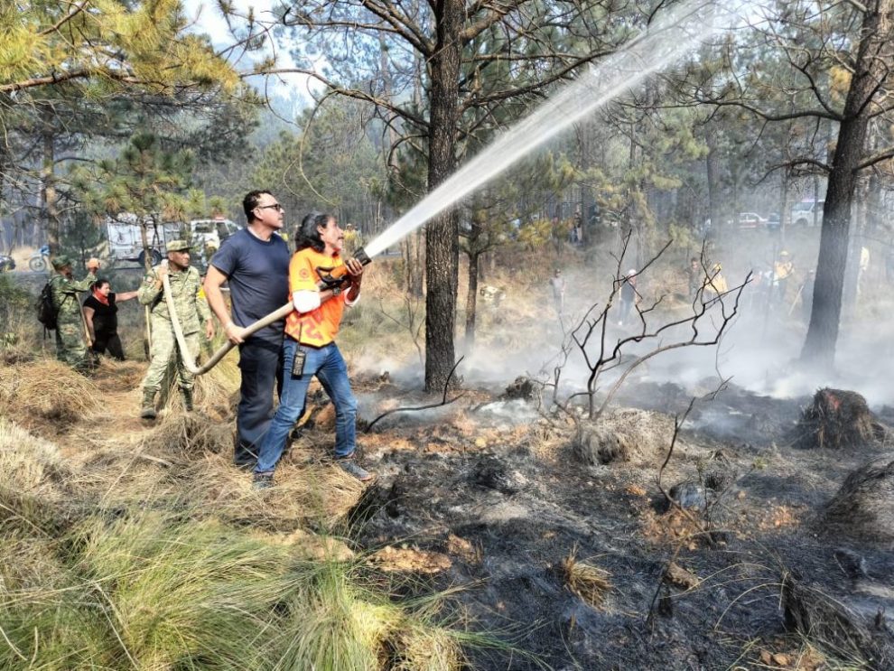 Ante Ola De Calor… Se Registra Incendio Forestal En Cerro Colorado De ...